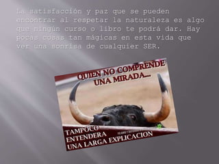 La satisfacción y paz que se pueden
encontrar al respetar la naturaleza es algo
que ningún curso o libro te podrá dar. Hay
pocas cosas tan mágicas en esta vida que
ver una sonrisa de cualquier SER.
 