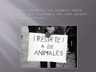 El cómo tratamos a los animales habla
más de lo que imaginamos del cómo estamos
con nosotros mismos.
 