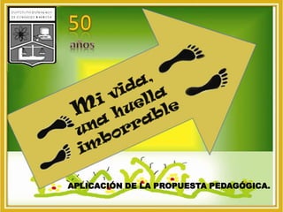 50 años APLICACIÓN DE LA PROPUESTA PEDAGÓGICA. 