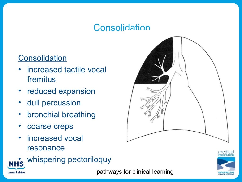 Respiratory Exam
