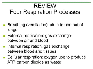  Breathing (ventilation): air in to and out of
lungs
 External respiration: gas exchange
between air and blood
 Internal respiration: gas exchange
between blood and tissues
 Cellular respiration: oxygen use to produce
ATP, carbon dioxide as waste
REVIEW
Four Respiration Processes
 