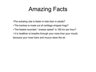 Amazing Facts
•The exhaling rate is faster in kids than in adults?
• The trachea is made out of cartilage shaped rings?
• The fastest recorded “ sneeze speed” is 165 km per hour?
• It is healthier to breathe through your nose than your mouth,
because your nose hairs and mucus clean the air.
 