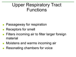 Passageway for respiration
 Receptors for smell
 Filters incoming air to filter larger foreign
material
 Moistens and warms incoming air
 Resonating chambers for voice
Upper Respiratory Tract
Functions
 