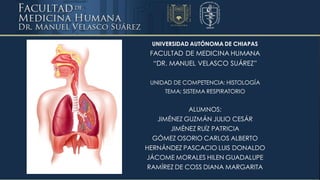UNIVERSIDAD AUTÓNOMA DE CHIAPAS
FACULTAD DE MEDICINA HUMANA
“DR. MANUEL VELASCO SUÁREZ”
UNIDAD DE COMPETENCIA: HISTOLOGÍA
TEMA: SISTEMA RESPIRATORIO
ALUMNOS:
JIMÉNEZ GUZMÁN JULIO CESÁR
JIMÉNEZ RUÍZ PATRICIA
GÓMEZ OSORIO CARLOS ALBERTO
HERNÁNDEZ PASCACIO LUIS DONALDO
JÁCOME MORALES HILEN GUADALUPE
RAMÍREZ DE COSS DIANA MARGARITA
 