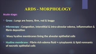 ARDS - MORPHOLOGY
Acute stage:
 Gross : Lungs are heavy, firm, red & boggy
 Microscopy : Congestion, interstitial & intra-alveolar edema, inflammation &
fibrin deposition
 Waxy hyaline membranes lining the alveolar epithelial cells
 Hyaline membrane : Fibrin rich edema fluid + cytoplasmic & lipid remnants
of necrotic epithelial cells
 