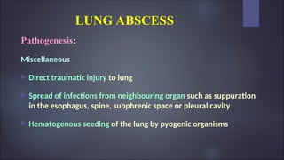 LUNG ABSCESS
Pathogenesis:
Miscellaneous
 Direct traumatic injury to lung
 Spread of infections from neighbouring organ such as suppuration
in the esophagus, spine, subphrenic space or pleural cavity
 Hematogenous seeding of the lung by pyogenic organisms
 