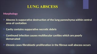 LUNG ABSCESS
Morphology
 Abscess is suppurative destruction of the lung parenchyma within central
area of cavitation
 Cavity contains suppurative necrotic debris
 Continued infection causes multilocular cavities which are poorly
demarcated
 Chronic cases fibroblastic proliferation in the fibrous wall abscess occurs
 