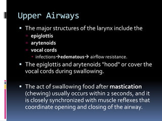 Upper Airways
 The major structures of the larynx include the
 epiglottis
 arytenoids
 vocal cords
 infectionsedematous airflow resistance.
 The epiglottis and arytenoids "hood" or cover the
vocal cords during swallowing.
 The act of swallowing food after mastication
(chewing) usually occurs within 2 seconds, and it
is closely synchronized with muscle reflexes that
coordinate opening and closing of the airway.
 