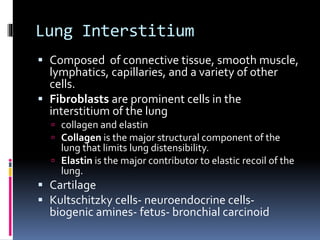 Lung Interstitium
 Composed of connective tissue, smooth muscle,
lymphatics, capillaries, and a variety of other
cells.
 Fibroblasts are prominent cells in the
interstitium of the lung
 collagen and elastin
 Collagen is the major structural component of the
lung that limits lung distensibility.
 Elastin is the major contributor to elastic recoil of the
lung.
 Cartilage
 Kultschitzky cells- neuroendocrine cells-
biogenic amines- fetus- bronchial carcinoid
 