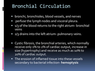 Bronchial Circulation
 bronchi, bronchioles, blood vessels, and nerves
 perfuse the lymph nodes and visceral pleura.
 1/3 of the blood returns to the right atrium- bronchial
veins
 2/3 drains into the left atrium- pulmonary veins.
 Cystic fibrosis, the bronchial arteries, which normally
receive only 1% to 2% of cardiac output, increase in
size (hypertrophy) and receive as much as 10% to
20% of cardiac output.
 The erosion of inflamed tissue into these vessels
secondary to bacterial infection- hemoptysis
 