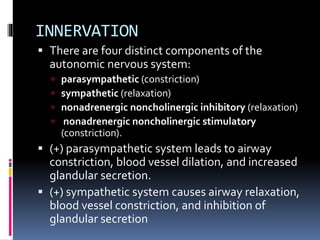 INNERVATION
 There are four distinct components of the
autonomic nervous system:
 parasympathetic (constriction)
 sympathetic (relaxation)
 nonadrenergic noncholinergic inhibitory (relaxation)
 nonadrenergic noncholinergic stimulatory
(constriction).
 (+) parasympathetic system leads to airway
constriction, blood vessel dilation, and increased
glandular secretion.
 (+) sympathetic system causes airway relaxation,
blood vessel constriction, and inhibition of
glandular secretion
 