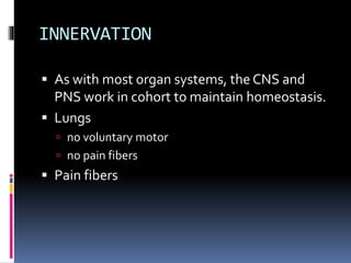 INNERVATION
 As with most organ systems, the CNS and
PNS work in cohort to maintain homeostasis.
 Lungs
 no voluntary motor
 no pain fibers
 Pain fibers
 