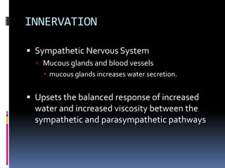 INNERVATION
 Sympathetic Nervous System
 Mucous glands and blood vessels
 mucous glands increases water secretion.
 Upsets the balanced response of increased
water and increased viscosity between the
sympathetic and parasympathetic pathways
 
