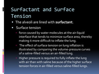 Surfactant and Surface
Tension
 The alveoli are lined with surfactant.
 Surface tension
 force caused by water molecules at the air-liquid
interface that tends to minimize surface area, thereby
making it more difficult to inflate the lung.
 The effect of surface tension on lung inflation is
illustrated by comparing the volume-pressure curves
of a saline-filled versus an air-filled lung.
 Higher pressure is required to fully inflate the lung
with air than with saline because of the higher surface
tension forces in air-filled versus saline-filled lungs.
 