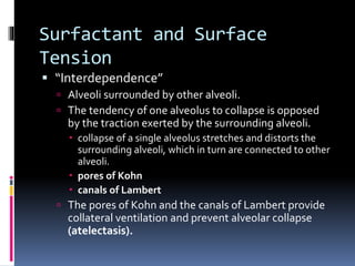 Surfactant and Surface
Tension
 “Interdependence”
 Alveoli surrounded by other alveoli.
 The tendency of one alveolus to collapse is opposed
by the traction exerted by the surrounding alveoli.
 collapse of a single alveolus stretches and distorts the
surrounding alveoli, which in turn are connected to other
alveoli.
 pores of Kohn
 canals of Lambert
 The pores of Kohn and the canals of Lambert provide
collateral ventilation and prevent alveolar collapse
(atelectasis).
 