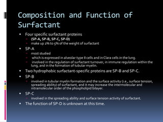 Composition and Function of
Surfactant
 Four specific surfactant proteins
 (SP-A, SP-B, SP-C, SP-D)
 make up 2% to 5% of the weight of surfactant
 SP-A
 most studied
 which is expressed in alveolar type II cells and in Clara cells in the lung.
 involved in the regulation of surfactant turnover, in immune regulation within the
lung, and in the formation of tubular myelin.
 Two hydrophobic surfactant-specific proteins are SP-B and SP-C.
 SP-B
 involved in tubular myelin formation and the surface activity (i.e., surface tension,
spreading ability) of surfactant, and it may increase the intermolecular and
intramolecular order of the phospholipid bilayer.
 SP-C
 involved in the spreading ability and surface tension activity of surfactant.
 The function of SP-D is unknown at this time.
 