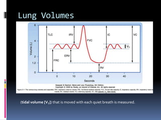 Lung Volumes
(tidal volume [VT]) that is moved with each quiet breath is measured.
 