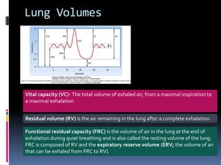 Lung Volumes
Vital capacity (VC)- The total volume of exhaled air, from a maximal inspiration to
a maximal exhalation
Residual volume (RV) is the air remaining in the lung after a complete exhalation.
Functional residual capacity (FRC) is the volume of air in the lung at the end of
exhalation during quiet breathing and is also called the resting volume of the lung.
FRC is composed of RV and the expiratory reserve volume (ERV; the volume of air
that can be exhaled from FRC to RV).
 