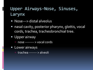 Upper Airways-Nose, Sinuses,
Larynx
 Nose---> distal alveolus
 nasal cavity, posterior pharynx, glottis, vocal
cords, trachea, tracheobronchial tree.
 Upper airway
 nose -------- > vocal cords
 Lower airways
 trachea ------- > alveoli
 