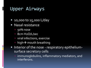 Upper Airways
 10,000 to 15,000 L/day
 Nasal resistance
 50% nose
 8cm H2O/L/sec
 viral infections, exercise
 high mouth breathing
 Interior of the nose - respiratory epithelium-
surface secretory cells
 immunoglobulins, inflammatory mediators, and
interferons.
 