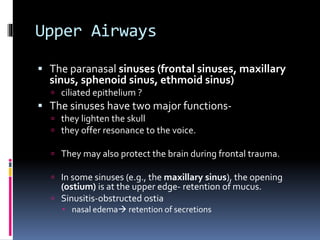 Upper Airways
 The paranasal sinuses (frontal sinuses, maxillary
sinus, sphenoid sinus, ethmoid sinus)
 ciliated epithelium ?
 The sinuses have two major functions-
 they lighten the skull
 they offer resonance to the voice.
 They may also protect the brain during frontal trauma.
 In some sinuses (e.g., the maxillary sinus), the opening
(ostium) is at the upper edge- retention of mucus.
 Sinusitis-obstructed ostia
 nasal edema retention of secretions
 