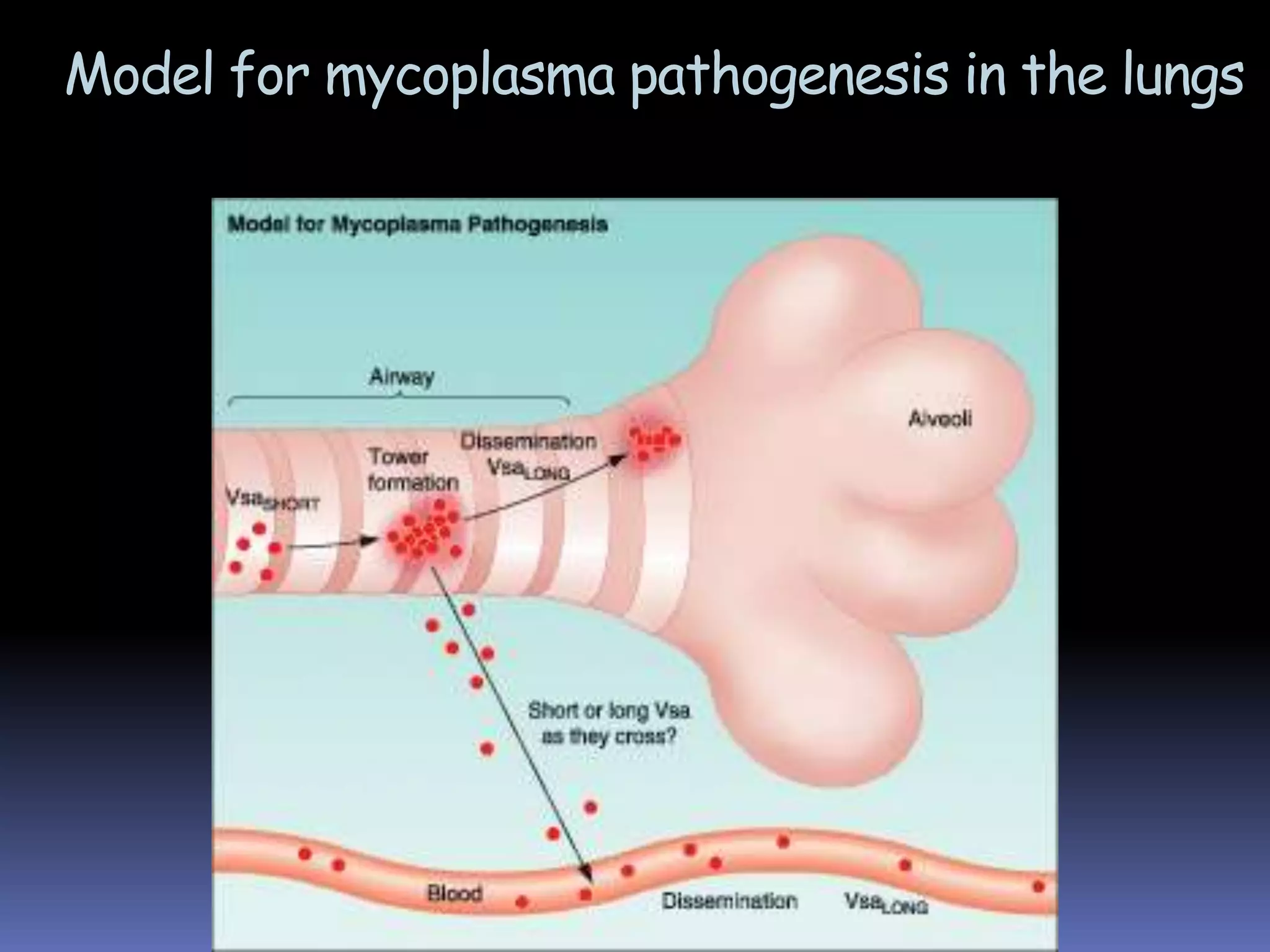 MICROPARA- RESPIRATORY INFECTIONby Dr Sonnie Talavera