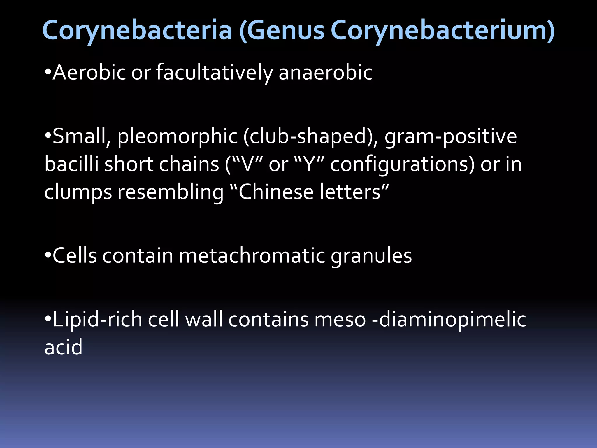 Corynebacteria (Genus Corynebacterium)Aerobic or facultativelyanaerobic