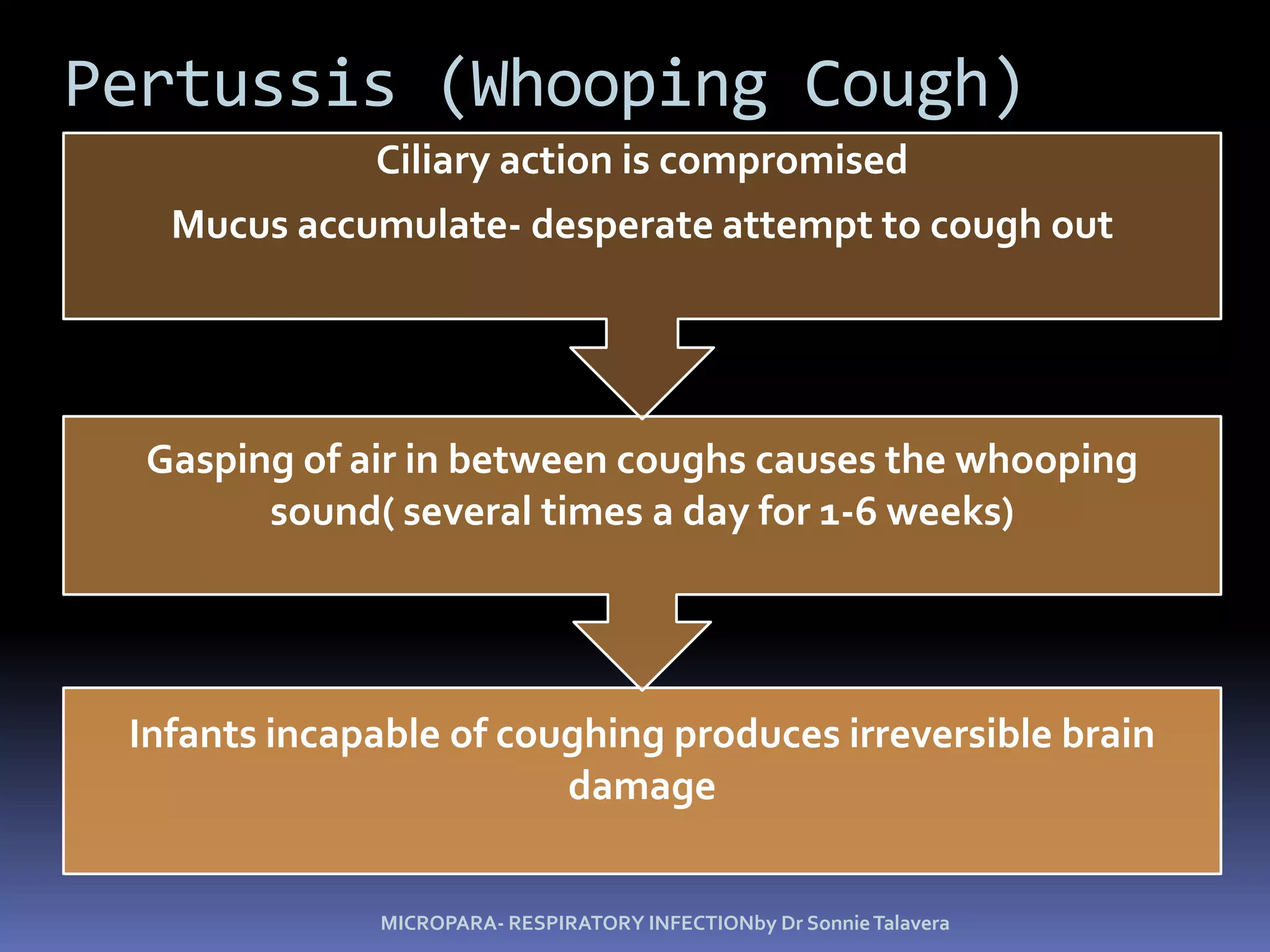 Lower Respiratory SystemThe ciliary escalator keeps the lower respiratory system sterile.Figure 24.2MICROPARA- RESPIRATORY INFECTIONby Dr Sonnie Talavera