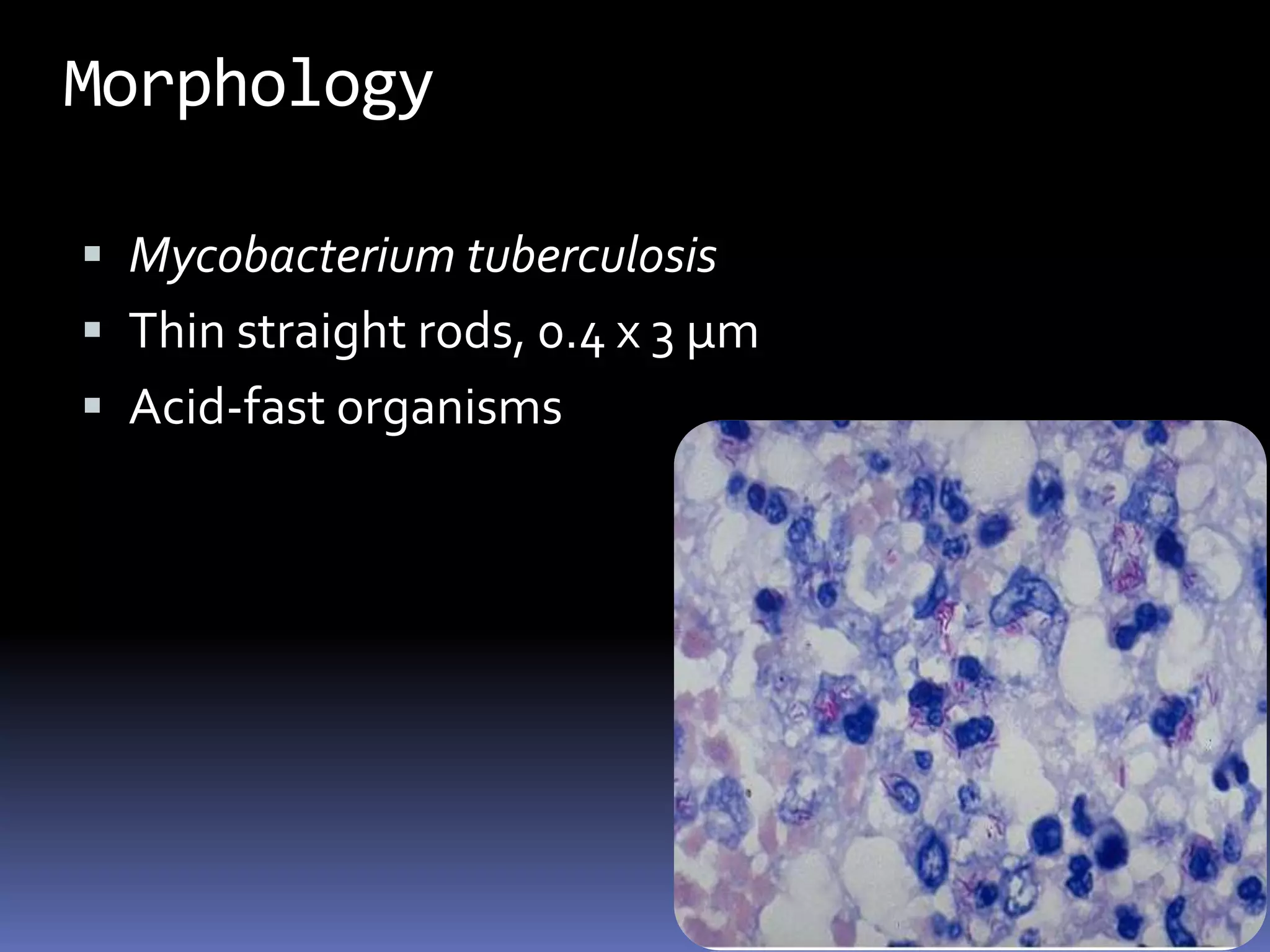 Requires nicotinamide and charcoal, starch, blood, or albumin