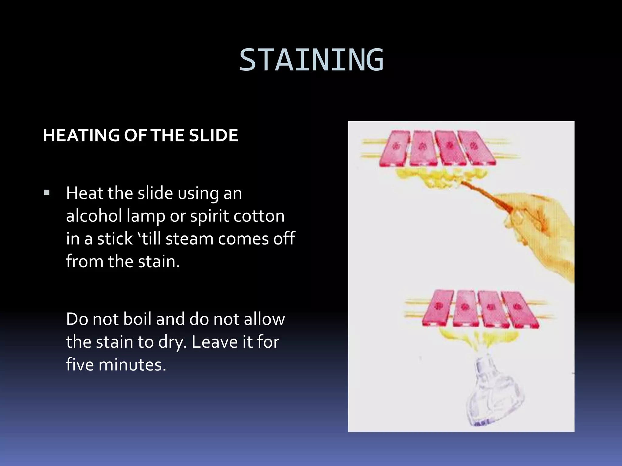 National Tuberculosis Control Program (2001)prevent transmission of tubercle bacilli to a healthy person