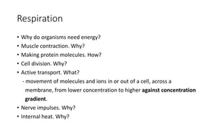 Respiration
• Why do organisms need energy?
• Muscle contraction. Why?
• Making protein molecules. How?
• Cell division. Why?
• Active transport. What?
- movement of molecules and ions in or out of a cell, across a
membrane, from lower concentration to higher against concentration
gradient.
• Nerve impulses. Why?
• Internal heat. Why?
 