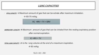 LUNG CAPACITIES
• VITALCAPACITY:  Maximum amount of gas that can be exhale after maximum inhalation.
 60-70 ml/kg
INSPIRATORY CAPACITY:  Maximum amount of gas that can be inhaled from the resting expiratory position
after normal expiration.
TOTALLUNGCAPACITY:  Is the lung volume at the end of a maximum inspiration.
 80 ml/kg
TLC= VC + RV
VC =IRV + TV + ERV
IC =IRV + TV
 