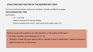 STRUCTURE AND FUNCTION OF THE RESPIRATORY TRACT
The nose, mouth and pharynx conduct air to the larynx, humidify and filter the air gases.
TRACHEOBRONCHIAL TREE
Adult trachea –
• 10 - 11 cm long
• Starts at the level of 6th cervical vertebra
• Ends by dividing into Rt. and Lt. main bronchi at the carina, level of T5
Trachea moves with respiration and with alterations in the position of the head :
• On deep inspiration carina decends by 2.5 cm.
• Extention of head and neck- ideal positon to maintain airway in anesthetised patient-increase the
length of trachea by 23-30 percent.
 