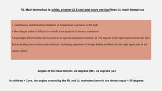 Rt. Main bronchus is wider, shorter (2.5 cm) and more vertical than Lt. main bronchus
•
• Unintentional endobronchial intubation or foreign body aspiration on Rt. Side
• Short length makes it difficult to occlude when required in thoracic anaesthesia
• Right upper lobe bronchus dives passes in an upward and lateral direction at ∼90 degrees to the right main bronchus for 1cm
before dividing into its three main divisions, facilitating aspiration of foreign bodies and fluid into the right upper lobe in the
supine patient.
Angles of the main bronchi- 25 degrees (Rt.), 45 degrees (Lt.)
In children < 3 yrs, the angles created by the Rt. and Lt. mainstem bronchi are almost equal ~ 55 degrees.
 