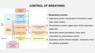 CONTROL OF BREATHING
• Respiratory centres:
1. Inspiratory centre- dorsal part of medulla,on each
side, basic rhythm.
2. Pneumotaxic centre- upper pons, limits inspiration,
faster RR.
3. Apneustic centre (excitatory)- lower pons,
overridden by pneumotaxic centre.
4. Expiratory centre-ventral medulla,- inspiratory mscl.
For passive expiration
 