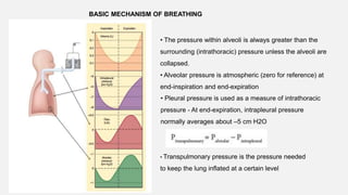 BASIC MECHANISM OF BREATHING
• The pressure within alveoli is always greater than the
surrounding (intrathoracic) pressure unless the alveoli are
collapsed.
• Alveolar pressure is atmospheric (zero for reference) at
end-inspiration and end-expiration
• Pleural pressure is used as a measure of intrathoracic
pressure - At end-expiration, intrapleural pressure
normally averages about –5 cm H2O
• Transpulmonary pressure is the pressure needed
to keep the lung inflated at a certain level
 