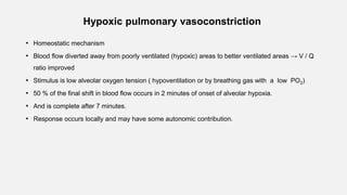 Hypoxic pulmonary vasoconstriction
• Homeostatic mechanism
• Blood flow diverted away from poorly ventilated (hypoxic) areas to better ventilated areas → V / Q
ratio improved
• Stimulus is low alveolar oxygen tension ( hypoventilation or by breathing gas with a low PO2)
• 50 % of the final shift in blood flow occurs in 2 minutes of onset of alveolar hypoxia.
• And is complete after 7 minutes.
• Response occurs locally and may have some autonomic contribution.
 