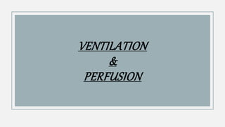 VENTILATION
&
PERFUSION
 