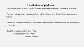 Distribution of perfusion
• Low pressure of the pulmonary circulation allow gravity to exert a significant influence on blood flow.
• Pulmonary artery pressure increases by 1 cm H₂O/ cm distance down the lung (hydrostatic pressure
builds up).
• This causes a pressure difference in the pulmonary arterial vessels between the apex and the base of 11
to 15 mm Hg.
• Blood flow in upright position: Base > Apex
supine position: Base = Apex
Posterior > anterior
 