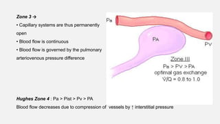 Zone 3 →
• Capillary systems are thus permanently
open
• Blood flow is continuous
• Blood flow is governed by the pulmonary
arteriovenous pressure difference
Hughes Zone 4 : Pa > Pist > Pv > PA
Blood flow decreases due to compression of vessels by ↑ interstitial pressure
 