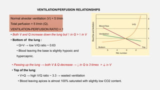 VENTILATION/PERFUSION RELATIONSHIPS
Normal alveolar ventilation (V) = 5 l/min
Total perfusion = 5 l/min (Q).
VENTILATION-PERFUSION RATIO = 1
• Both V and Q increase down the lung but ↑ in Q > ↑ in V
• Bottom of the lung :
• Q>V → low V/Q ratio ~ 0.63
• Blood leaving the base is slightly hypoxic and
hypercapnic.
• Passing up the lung → both V & Q decrease → ↓ in Q is 3 times > ↓ in V
• Top of the lung:
• V>Q → high V/Q ratio ~ 3.3 → wasted ventilation
• Blood leaving apices is almost 100% saturated with slightly low CO2 content.
 