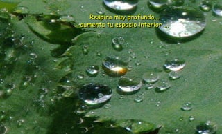 Respira muy profundo...
aumenta tu espacio interior ...
 