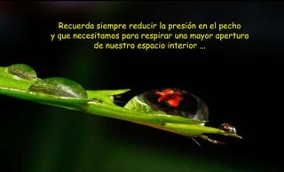 Recuerda siempre reducir la presión en el pecho
y que necesitamos para respirar una mayor apertura
           de nuestro espacio interior ...
 