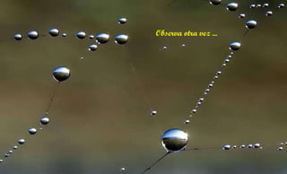 Observa otra vez ...  