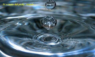 Si se trata del pecho, siéntelo ...  