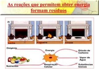 As reações que permitem obter energia
formam resíduos
 