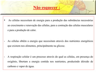 • As células necessitam de energia para a produção das substâncias necessárias
ao crescimento e renovação das células, para a contração das células musculares
e para a produção de calor.
- As células obtêm a energia que necessitam através dos nutrientes energéticos
que existem nos alimentos, principalmente na glicose.
- A respiração celular é um processo através do qual as células, em presença do
oxigênio, libertam a energia contida nos nutrientes, produzindo dióxido de
carbono e vapor de água.
Não esquecer :
 