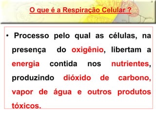 • Processo pelo qual as células, na
presença do oxigênio, libertam a
energia contida nos nutrientes,
produzindo dióxido de carbono,
vapor de água e outros produtos
tóxicos.
O que é a Respiração Celular ?
 