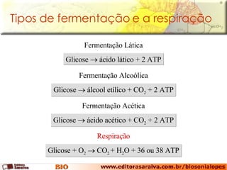 Tipos de fermentação e a respiração Glicose    ácido lático + 2 ATP Fermentação Lática Glicose    álcool etílico + CO 2  + 2 ATP Fermentação Alcoólica Glicose    ácido acético + CO 2  + 2 ATP Fermentação Acética Glicose + O 2     CO 2  + H 2 O + 36 ou 38 ATP Respiração 