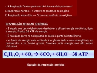 ●  A Respiração Celular pode ser dividida em dois processos: 1. Respiração Aeróbia --> Ocorre na presença de oxigênio 2. Respiração Anaeróbia --> Ocorre na ausência de oxigênio RESPIRAÇÃO CELULAR AERÓBICA - É aquela que usa oxigênio para desdobrar a glicose em gás carbônico, água e energia. Produz 38 ATP de energia. - É realizada parte no hialoplasma da célula e parte na mitocôndria. - A fonte de energia mais utilizada é a glicose (não a mais energética), os aminoácidos e os ácidos graxos fornecem mais energia mas são menos utilizados.  Equação da respiração aeróbica C 6 H 12 O 6  + 6O 2     6CO 2  + 6H 2 O + 38 ATP 